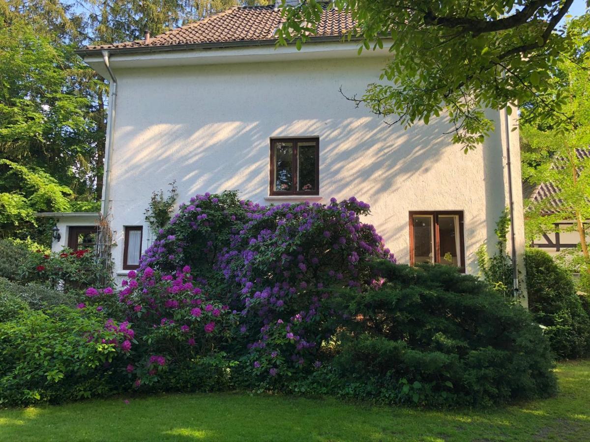 Ferienhaus Hudemuehlen Keine Monteure Hodenhagen Kültér fotó